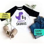 Big Sister Saurus Cute Girl Toddler Raglan