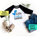 Little Brother Saurus Blue Dinosaur Boy Toddler Raglan